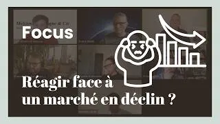 Miniature : Comment réagir face à un marché en déclin ? | Stratégie