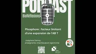 Miniature : Phosphore : facteur limitant d'une expansion de l'AB ?
