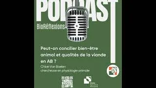 Miniature : Peut-on concilier bien-être animal et qualités de la viande en AB ?