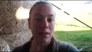 Miniature : Conception d’un ITK permettant d’améliorer les teneurs et les équilibres en MOS et la vie des sols