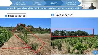 Miniature : Webinaire "Caractérisation des systèmes agroforestiers et besoins de suivi services écosystémiques"