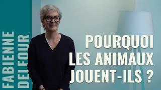 Miniature : Pourquoi les animaux jouent-ils ?