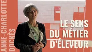 Miniature : Le sens du métier d'éleveur