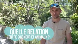 Miniature : Le métier de soigneur animalier