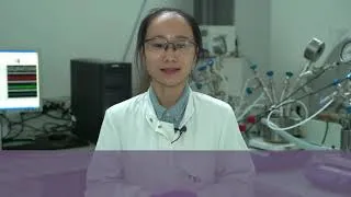 Miniature : Chair of Biotechnology CentraleSupélec : an international team