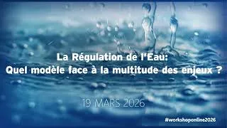 Miniature : La Régulation de l’Eau: Quel modèle face à la multitude des enjeux ?