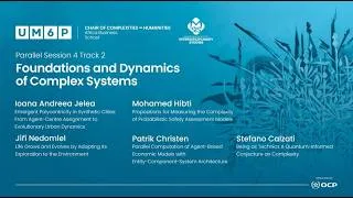 Miniature : WCCS 26 Parallel Session 4 - Track 2 : Foundations and Dynamics of Complex Systems