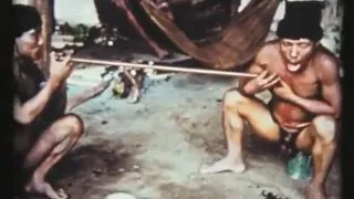 Miniature : Epená, la poudre à priser hallucinogène des Indiens Waica