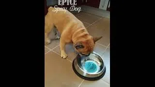 Miniature : Epice teste ventouse 1