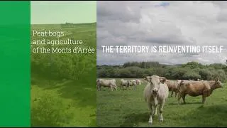 Miniature : BUFFER+: Preserving the Peatlands of the Monts d’Arrée Together with Farmers