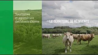 Miniature : BUFFER+ : Tourbières et agriculture dans les Monts d'Arrée, le territoire se réinvente