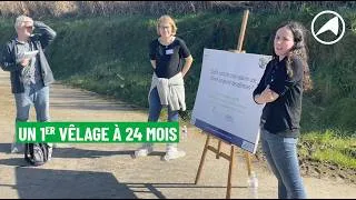 Miniature : RDV Techniques Trévarez : Un 1er vêlage à 24 mois.