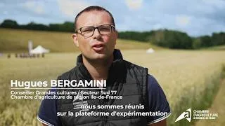 Miniature : Plateforme d'expérimentation en grandes cultures à Saint-Germain-Laval (77) le 9 juin 2026