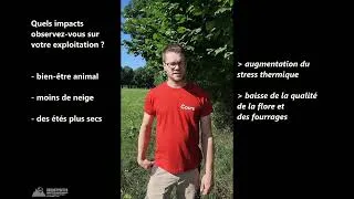 Miniature : Autonomie fourragère : le pari du séchage solaire