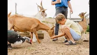 Miniature : Fermes en fête Occitanie 2026