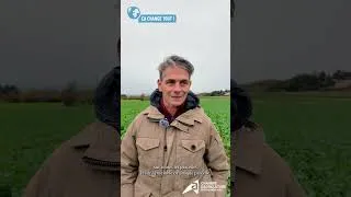 Miniature : Épisode 3 : Un couvert de trèfle pour préparer la culture suivante