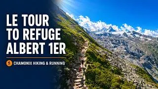 Miniature : Le Tour to Refuge Albert 1er - Chamonix Hiking & Trail Running