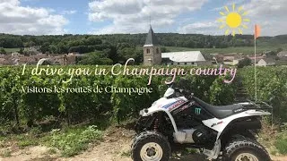 Miniature : Route des Vins de Champagne en Automne (4K Drive)