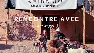 Miniature : NOTRE VIE EN CAMPING CAR  /  Rencontre avec des Anges 😇