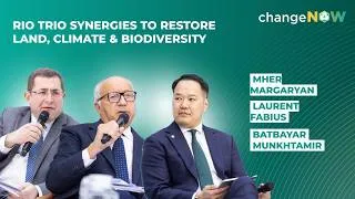 Miniature : Rio Trio Synergies to Restore Land, Climate & Biodiversity | Panel