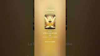 Miniature : La Banane