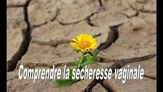 Miniature : Comprendre la sécheresse vaginale