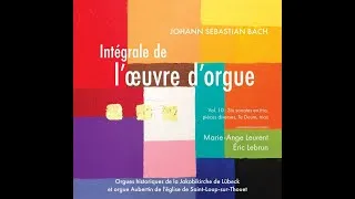 Miniature : Intégrale Bach, Bach complete organ works, volume X, Marie-Ange Leurent et Eric Lebrun.