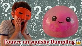 Miniature : J’ouvre un squishy Dumpling 😲🤯😲