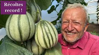 Miniature : Visite du potager sans labour en juillet : Récoltes abondantes, nouveaux semis et astuces d'arrosage