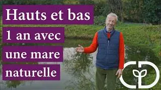 Miniature : Bassin sans bâche : ça monte, ça baisse, puis ça remonte en 2022