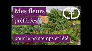 Miniature : Des fleurs en trois vagues
