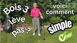 Miniature : Faire lever votre bois 3