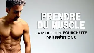 Miniature : Quelle est la Meilleure Fourchette de Répétitions pour Prendre du Muscle ?