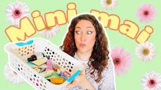 Miniature : PROJECT PAN miniatures & échantillons + vlog de fin d'études!