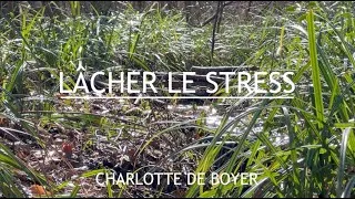 Miniature : Relaxation profonde pour lâcher le stress, les angoisses, l'anxiété chronique.