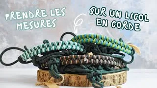 Miniature : Prendre les mesures sur un licol en corde 🪢