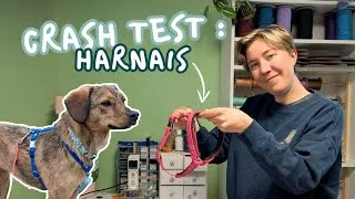 Miniature : Je crée le harnais parfait ✨ Test de 2 prototypes sur Maya 🐶