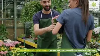 Miniature : Découvrir le calendrier des travaux de jardin à faire mois par mois en Belgique
