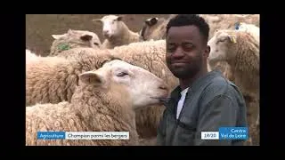 Miniature : Moussa Sissoko participera au Concours International de Jeune Berger au Salon de l'Agriculture