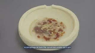 Miniature : Exposition A l'aube du Moyen-Âge : premiers temps chrétiens à Chartres