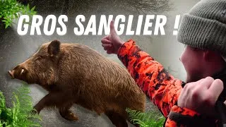 Miniature : 🔥 Battues aux Sangliers | Gros Mâles & Compagnies en Plaine avec Jean et Clément de Chasse Addict 🐗