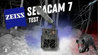 Miniature : Test complet de la caméra de chasse Secacam 7 de Zeiss : qualité d'image, fonctionnalités, prix ...