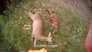 Miniature : Chasse et pêche passion présentation