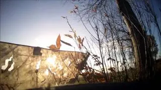 Miniature : Chasse Pigeons, Vanneaux et corvidés
