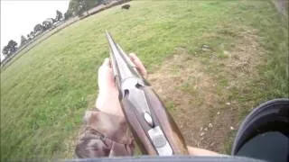 Miniature : Chasse au Sanglier en Normandie
