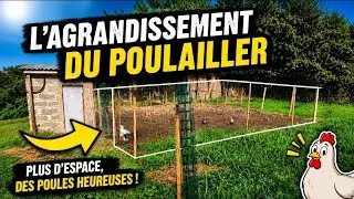 Miniature : Le poulailler devient immense ! 😲 +20m² de terrain 