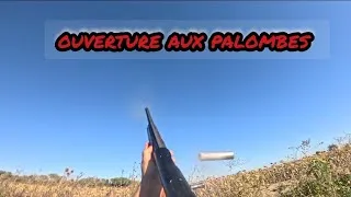 Miniature : Ouverture Chasse aux palombes dans le Gard Saisons 2025/2026