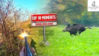 Miniature : TOP 10 MEILLEURS MOMENTS DE CHASSE de la saison 2025/2026