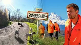 Miniature : UNE CHASSE AUX SANGLIERS SENSATIONELLE, AVEC DES CHANTEURS BIGOURDANS,  battue aux sangliers 2026