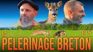 Miniature : CHASSE AUX CHEVREUILS INCROYABLE avec les beagles de l'écho médien, le Pèlerinage breton épisode 5